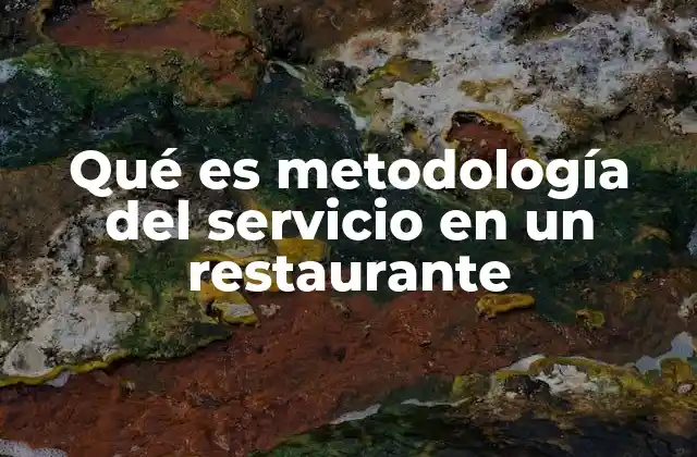 Qué es Metodología Del Servicio en un Restaurante