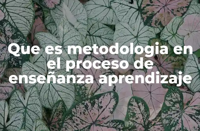 Que es Metodologia en el Proceso de Enseñanza Aprendizaje