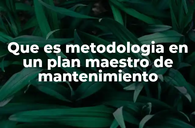 Que es Metodologia en un Plan Maestro de Mantenimiento