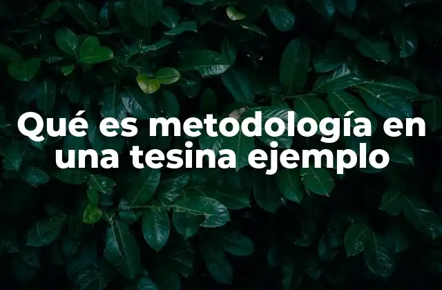 Qué es Metodología en una Tesina Ejemplo 2 La importancia de definir una metodología clara en tus trabajos académicos