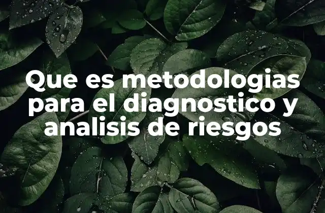Que es Metodologias para el Diagnostico y Analisis de Riesgos