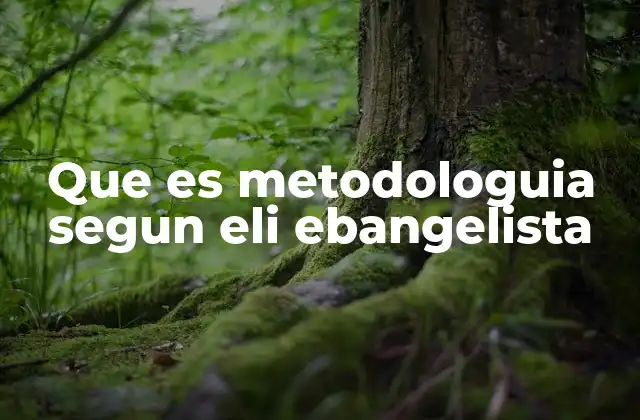 Que es Metodologuia Segun Eli Ebangelista