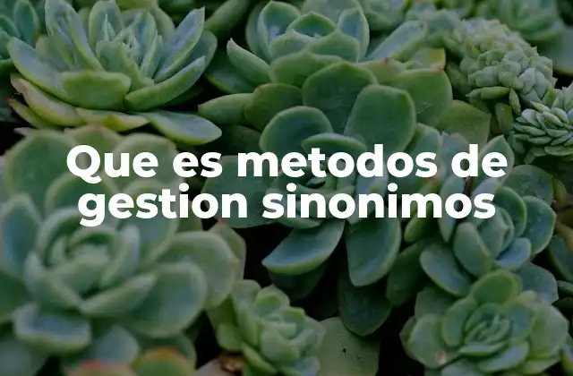 Enfoques organizacionales y su impacto en el desarrollo empresarial