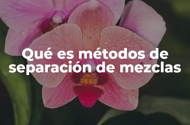 Qué es Métodos de Separación de Mezclas