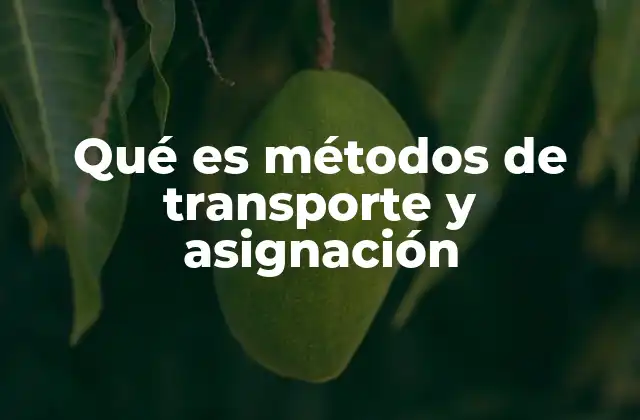 Qué es Métodos de Transporte y Asignación