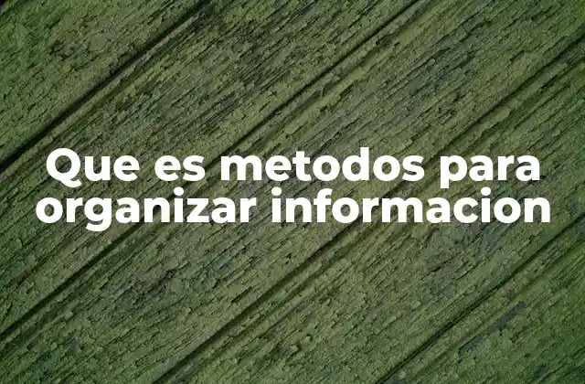 Que es Metodos para Organizar Informacion