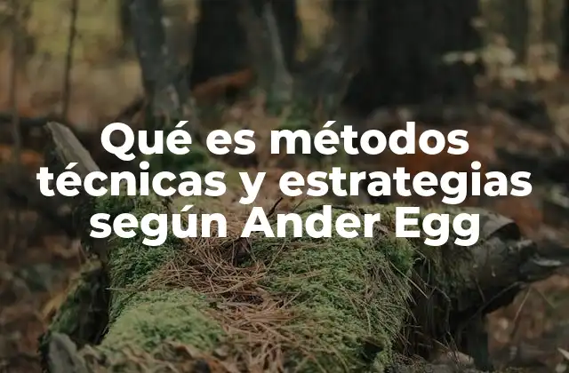 Qué es Métodos Técnicas y Estrategias según Ander Egg