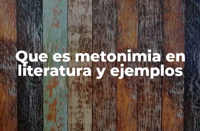 Que es Metonimia en Literatura y Ejemplos