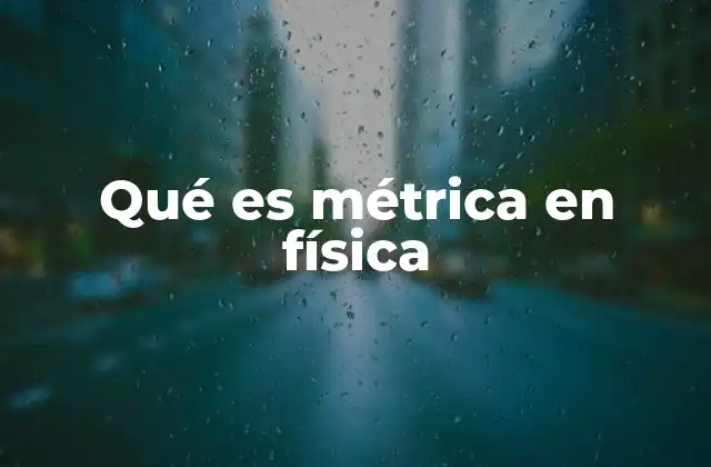 Qué es Métrica en Física