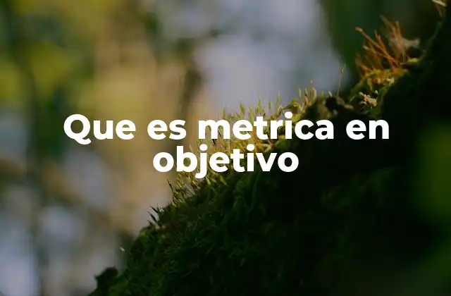 Que es Metrica en Objetivo