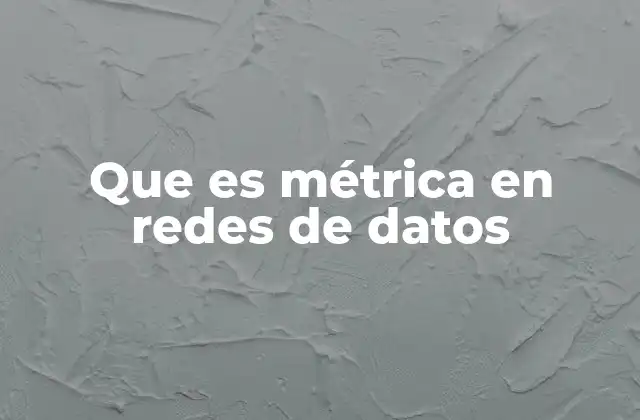 Que es Métrica en Redes de Datos