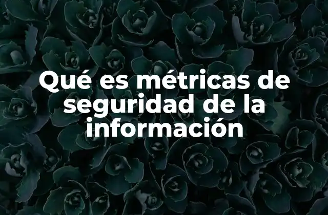 Qué es Métricas de Seguridad de la Información