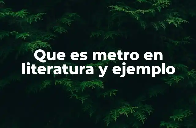 Que es Metro en Literatura y Ejemplo