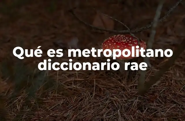 Qué es Metropolitano Diccionario Rae