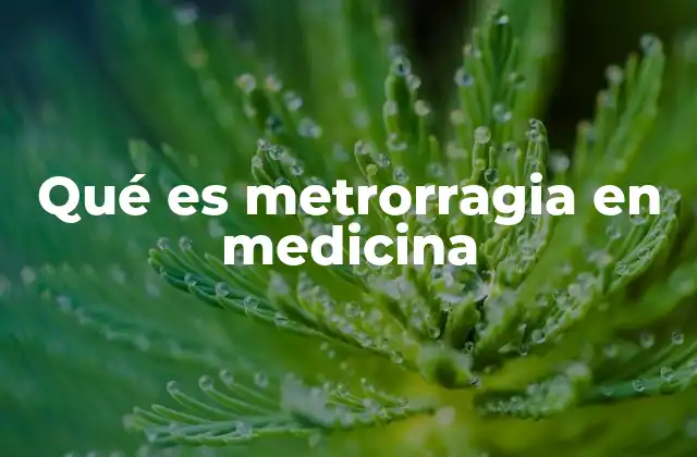 Características y diferencias de la metrorragia