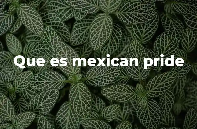 El orgullo mexicano como parte de la identidad cultural