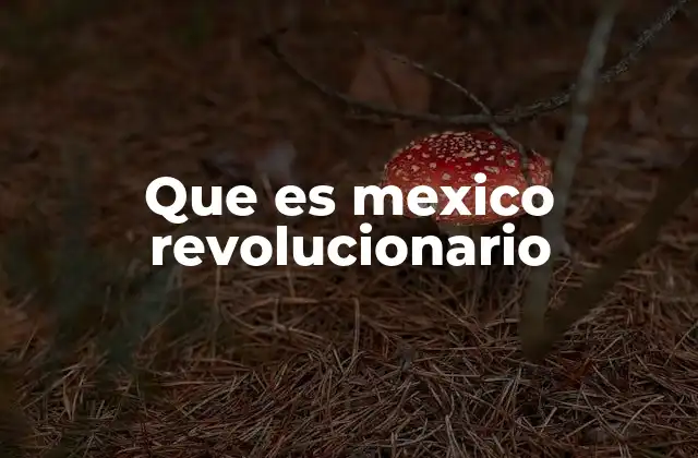 Que es Mexico Revolucionario 2 El legado de la Revolución en la identidad nacional