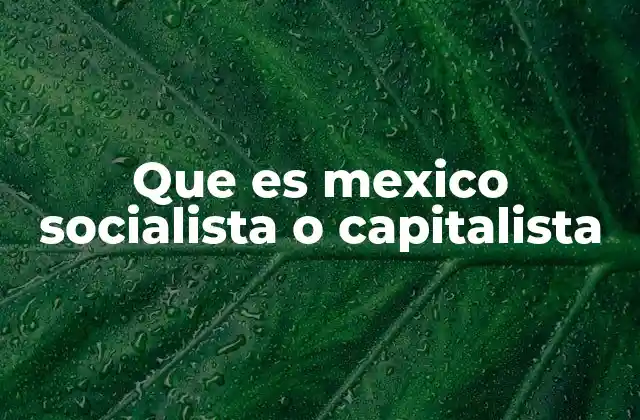 Que es Mexico Socialista o Capitalista