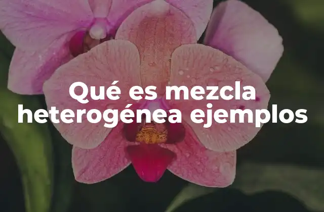 Qué es Mezcla Heterogénea Ejemplos