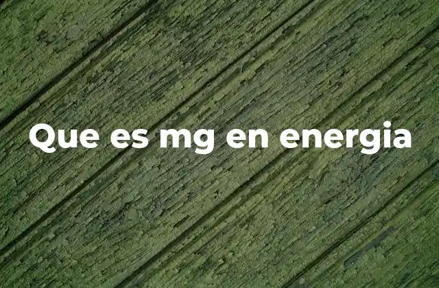 Que es Mg en Energia