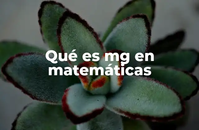 Qué es Mg en Matemáticas