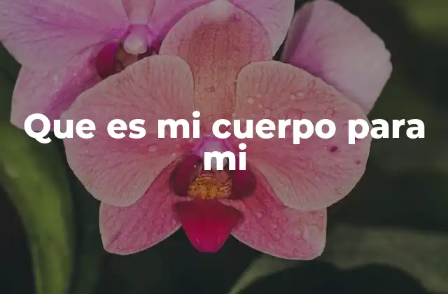 Que es Mi Cuerpo para Mi