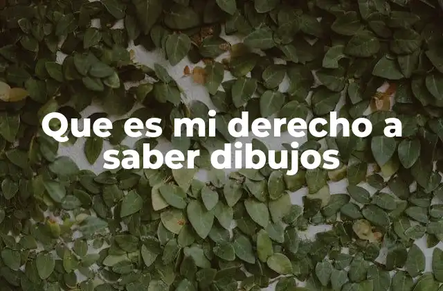 Que es Mi Derecho a Saber Dibujos