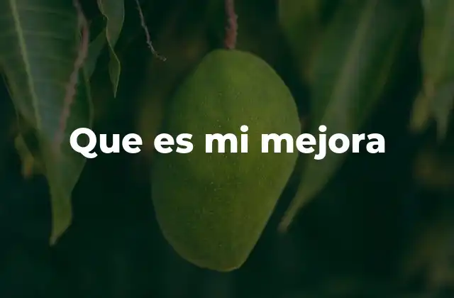 Que es Mi Mejora 2 El viaje hacia una vida más plena