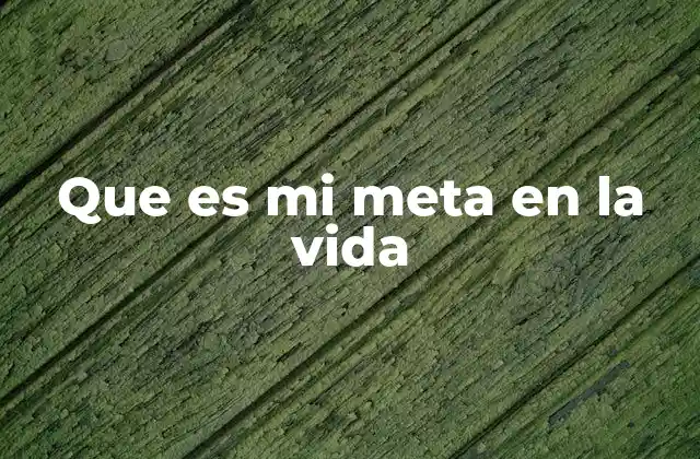 Que es Mi Meta en la Vida