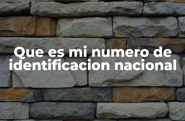 Que es Mi Numero de Identificacion Nacional