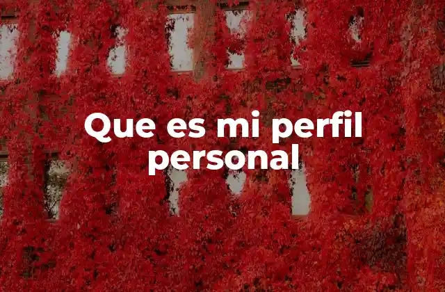 Que es Mi Perfil Personal