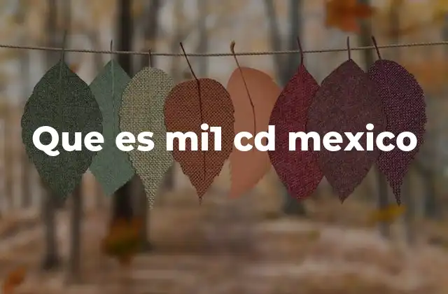 Que es Mi1 Cd Mexico 2 El uso de los CDs en proyectos educativos o culturales