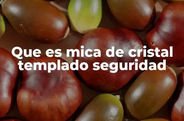 Que es Mica de Cristal Templado Seguridad 2 Características principales de la mica de cristal templado seguridad