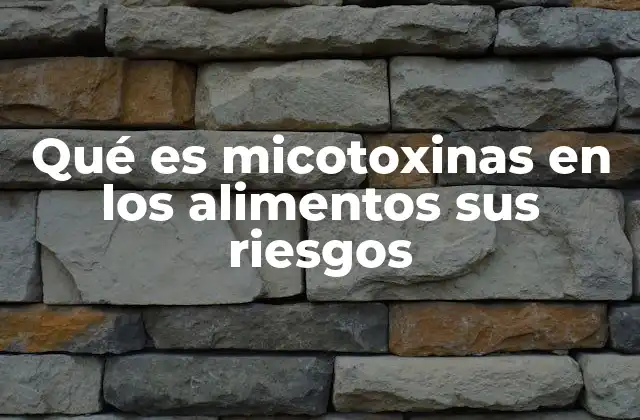 Qué es Micotoxinas en los Alimentos Sus Riesgos