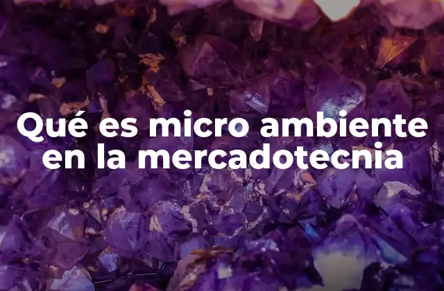 Qué es Micro Ambiente en la Mercadotecnia 2 Factores que conforman el entorno inmediato de una empresa
