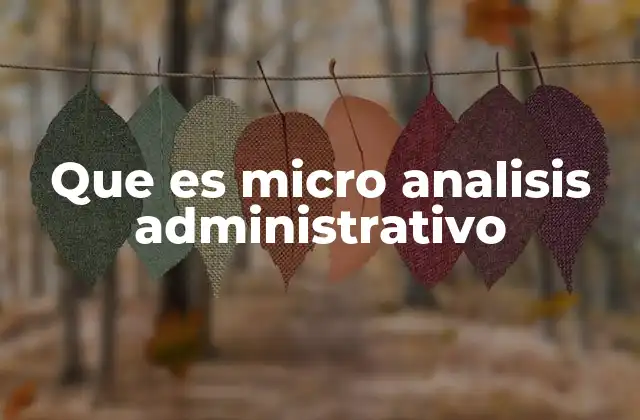 Que es Micro Analisis Administrativo