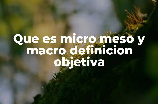 Que es Micro Meso y Macro Definicion Objetiva