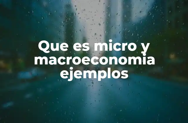 Que es Micro y Macroeconomia Ejemplos