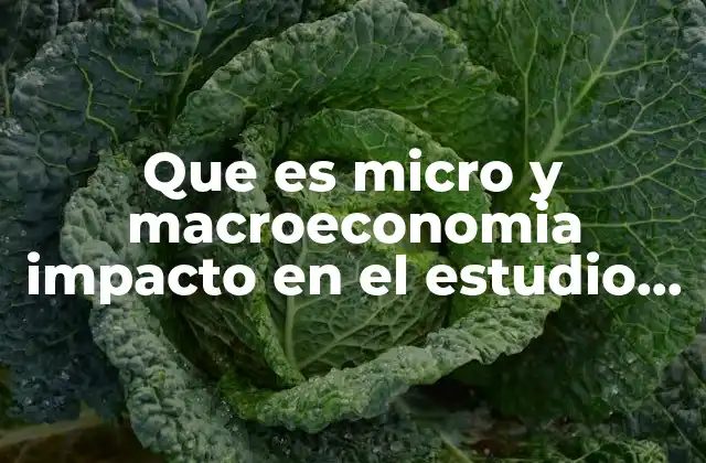 Que es Micro y Macroeconomia Impacto en el Estudio Socioeconomico