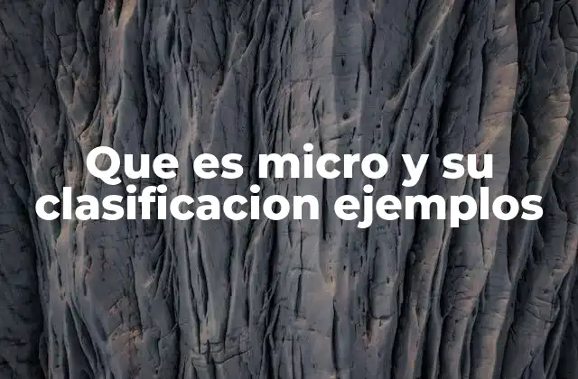 Que es Micro y Su Clasificacion Ejemplos