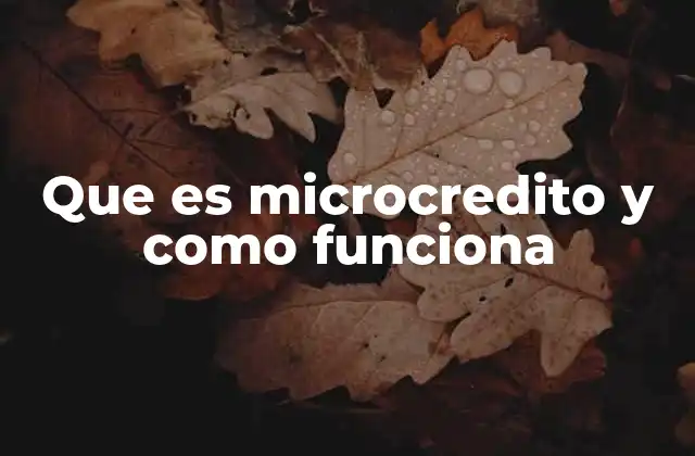 Que es Microcredito y como Funciona