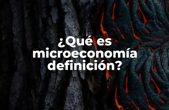 ¿qué es Microeconomía Definición?