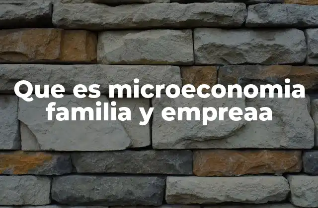 Que es Microeconomia Familia y Empreaa