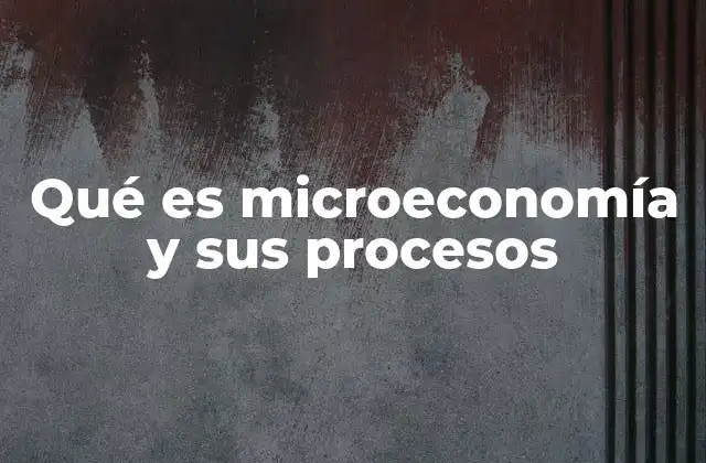 Qué es Microeconomía y Sus Procesos