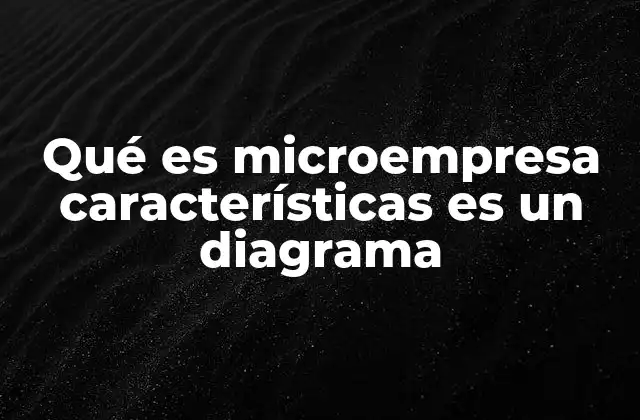Qué es Microempresa Características es un Diagrama