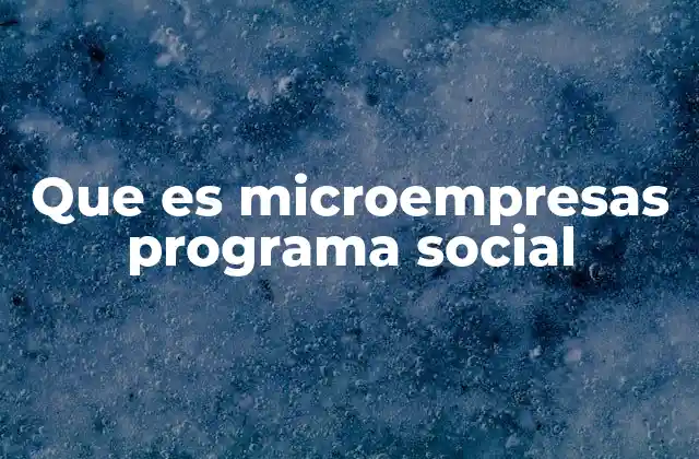 Que es Microempresas Programa Social 2 Apoyo para el desarrollo económico local sin mencionar directamente el programa