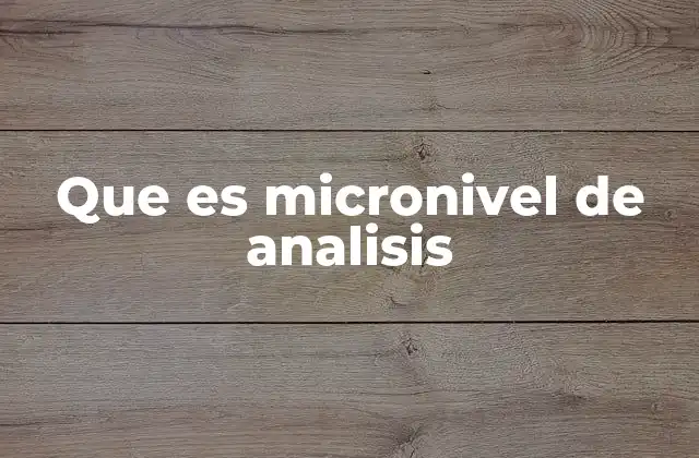 Que es Micronivel de Analisis