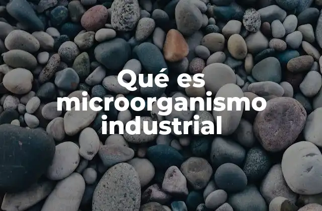 Qué es Microorganismo Industrial