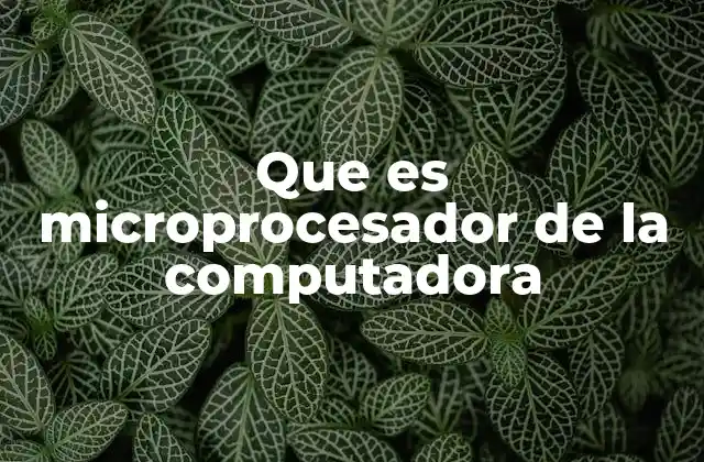 Que es Microprocesador de la Computadora