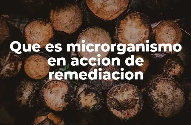 El papel biotecnológico de los microorganismos en la remediación ambiental